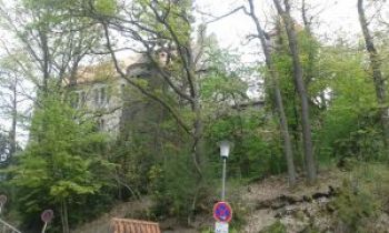 20170423_111647.jpg