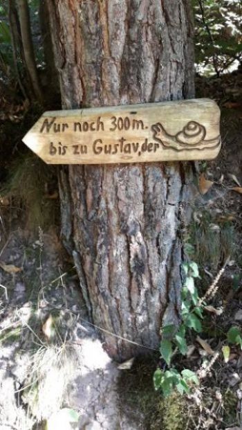 Waldgeisterweg 24.08.2025 (8).jpg
