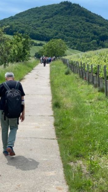 26-05-2024 Wanderung Leinsweiler  (2).jpg