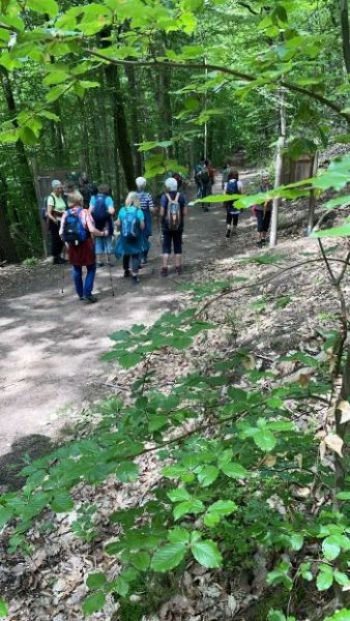 26-05-2024 Wanderung Leinsweiler (2).jpg