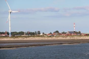 IMG_7516.JPG