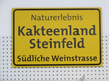 Wanderung Steinfeld 13.01.2019 053.JPG