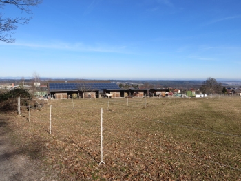 Wanderung-Schwarzwald 24.02.2019 010.JPG