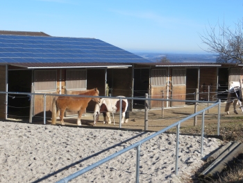 Wanderung-Schwarzwald 24.02.2019 011.JPG