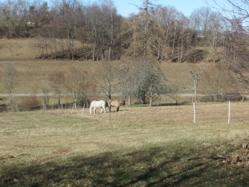 Wanderung-Schwarzwald 24.02.2019 014.JPG