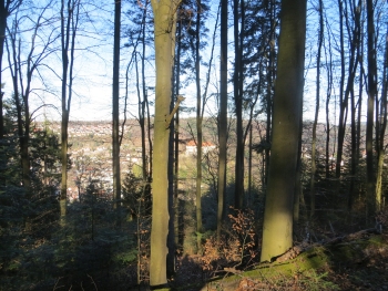 Wanderung-Schwarzwald 24.02.2019 028.JPG