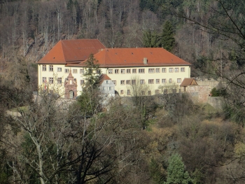 Wanderung-Schwarzwald 24.02.2019 030.JPG