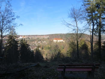 Wanderung-Schwarzwald 24.02.2019 031.JPG