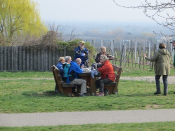 Maikammer Mandelblüte 24.03.2019 Thilo 022.JPG