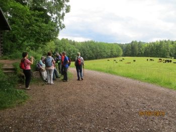 16.06.2019 Wanderung 014.JPG