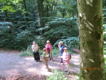 Wanderung am 04.08.2019 Burg Trifels 006.JPG