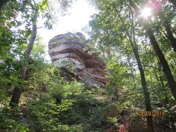 Wanderung am 04.08.2019 Burg Trifels 018.JPG