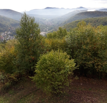 Wanderung- Ramberg 20.10.2019 077.jpg