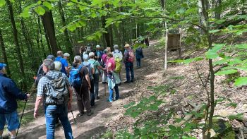 26-05-2024 Wanderung Leinsweiler (4).jpg
