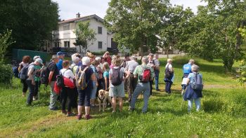 26-05-2024 Wanderung Leinsweiler (5).jpg